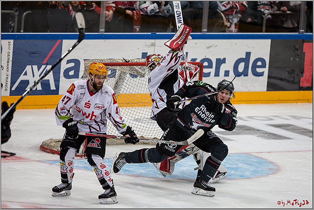 DEL, Koelner Haie - Fishtown Pinguins Bremerhaven, 29.01.2017
